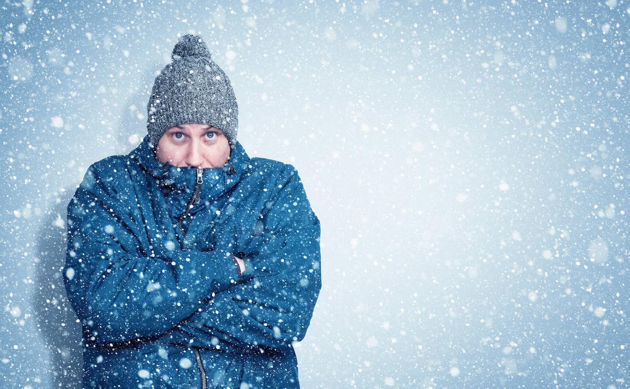 chaquetas para el día frio en invierno